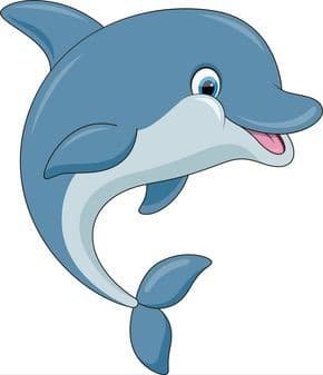 dolphin mascot